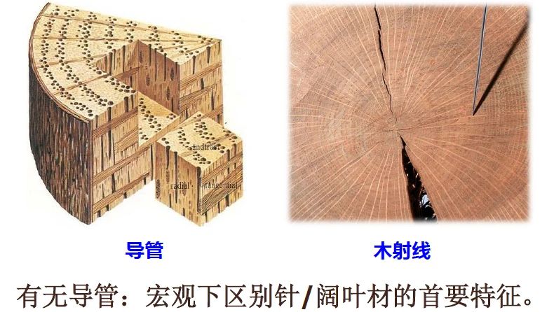 异形加工木材的安全操作规范与防护要点